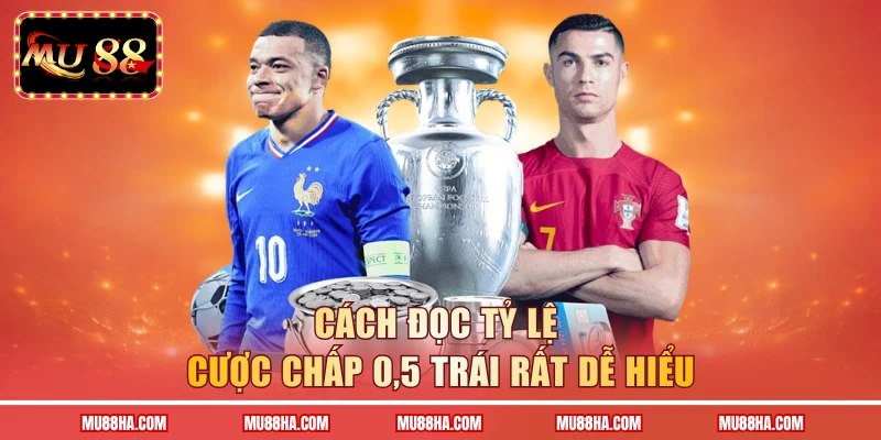Cách đọc tỷ lệ cược chấp 0,5 trái rất dễ hiểu