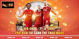 Kèo Chấp - Tỷ Lệ Cược Phổ Biến Tại Sảnh Thể Thao MU88