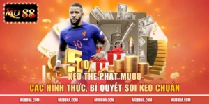 Kèo Thẻ Phạt MU88 - Các Hình Thức, Bí Quyết Soi Kèo Chuẩn