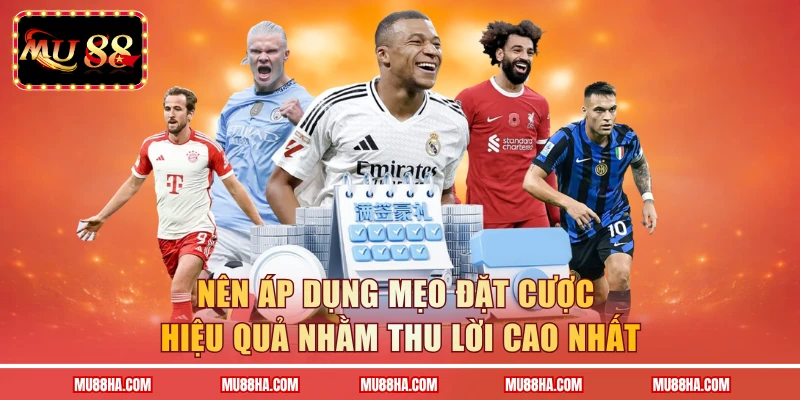 Nên áp dụng mẹo đặt cược hiệu quả nhằm thu lời cao nhất
